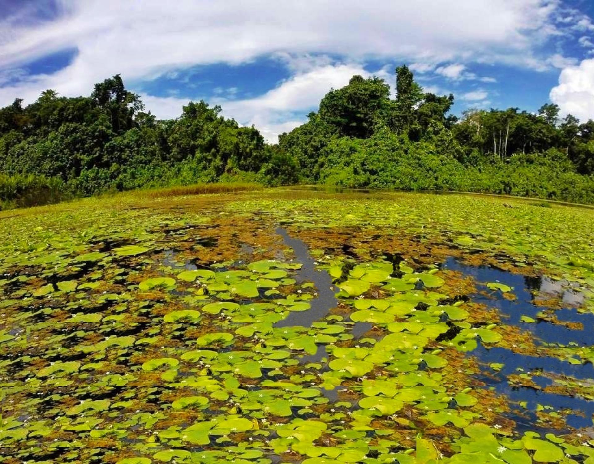 Vatthe Conservation Area (Vanuatu) | PIPAP